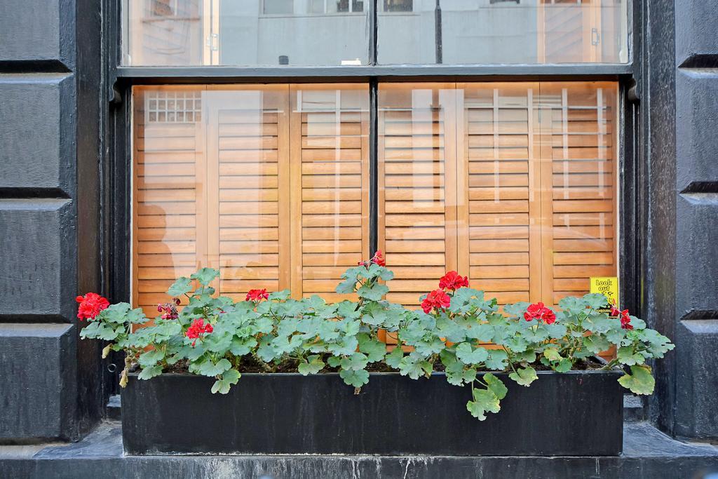 Apartamento The Westend Residences Londres